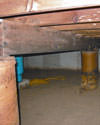 Mold and rot thriving in a dirt floor crawl space in San Jose