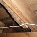 A repaired floor joist in a Modesto crawl space.