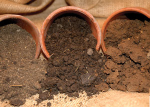 clay soils, loam soils, and sandy soils