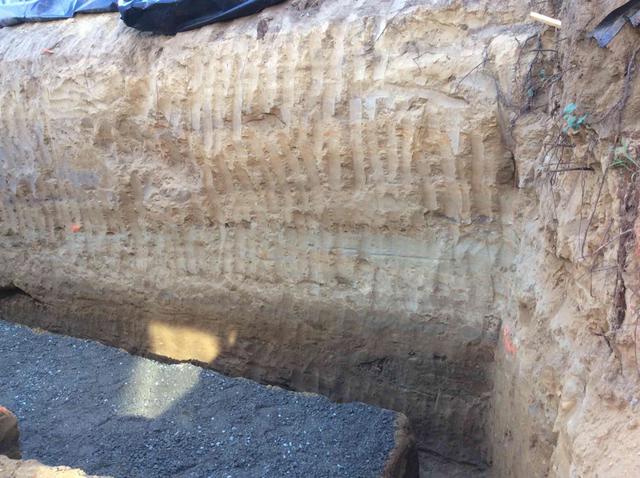 5e596fdb2cc1f_cdvphoto071