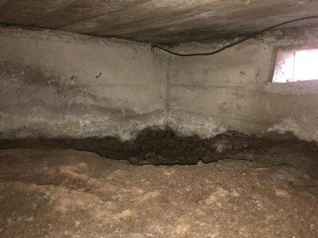 crawl-space-1_1614996088