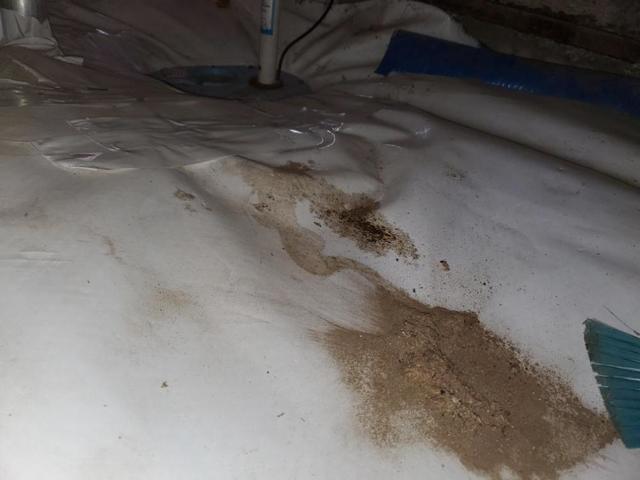 service-before-3_1620932184