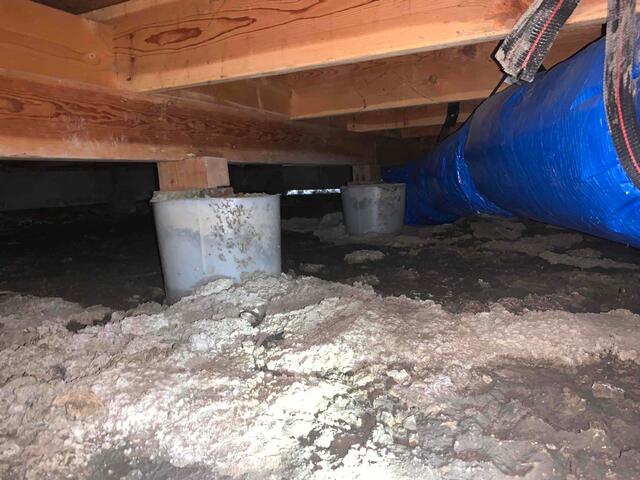 66479a49cc14a_image-4