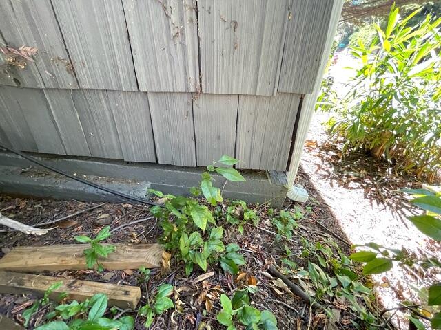 664cea693936d_2023080541134pm-2