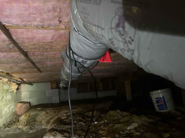 66b51d23c55fe_image-5