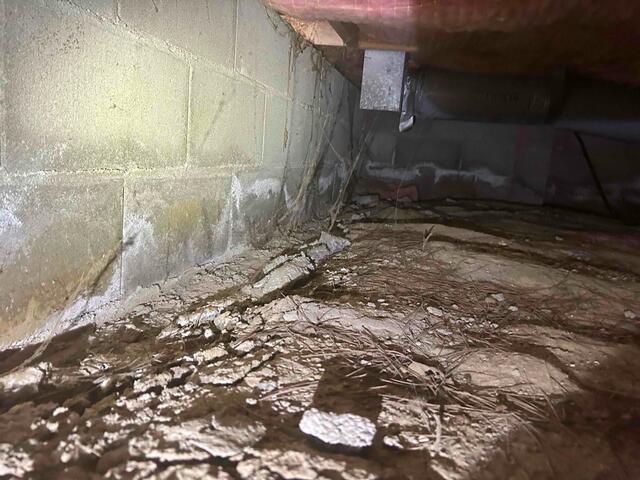 66b51d28cbfc7_image-14