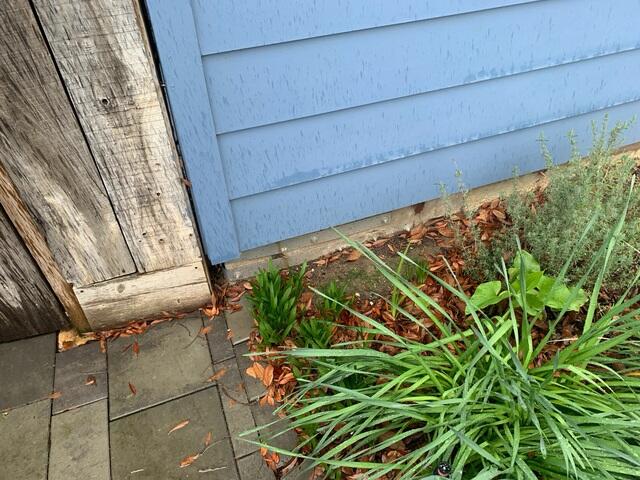 66ccbb040f406_2024020720911pm-2