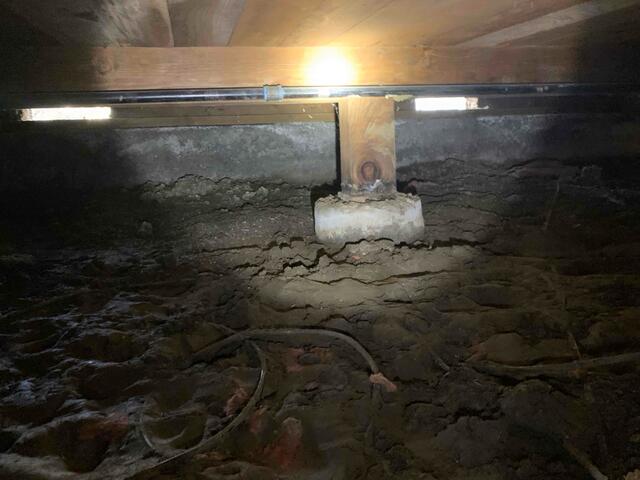 66e463ca8c7eb_image-3