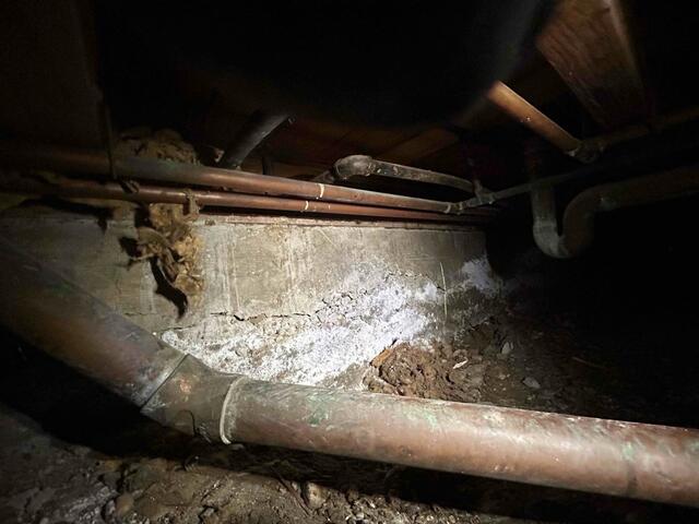 66ec4659592a7_image-32