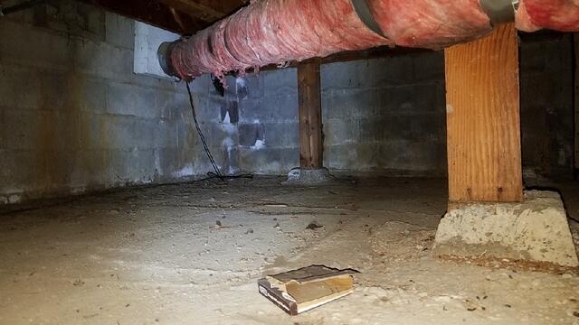 66ff1c3b8740a_image-3