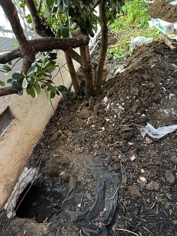 67250e48749b5_excavation-1