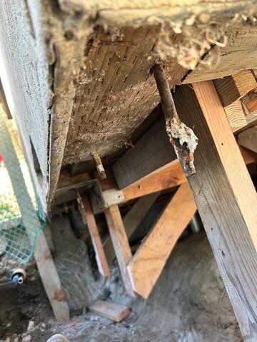 6769ae4745801_progress-2