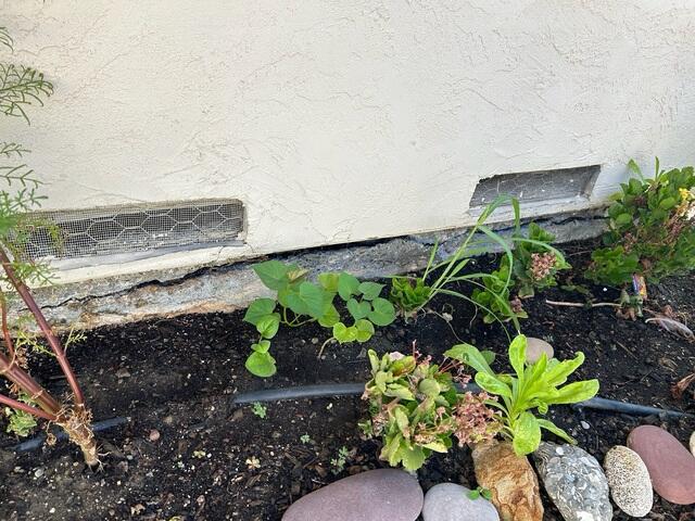 6769ae4d49f89_before-1