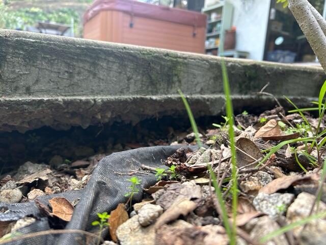 67a2345b037b1_2025012924018pm-1