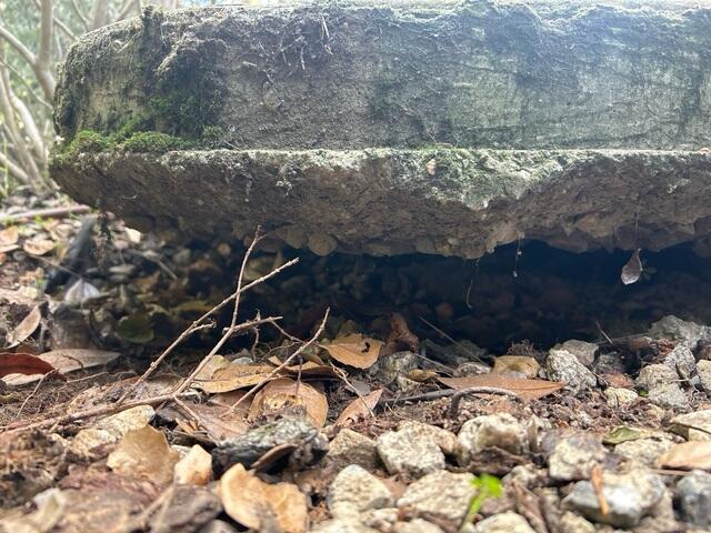 67a2345c220be_2025012924018pm