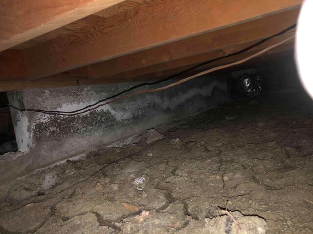 66846c8fdf1ab_image-3