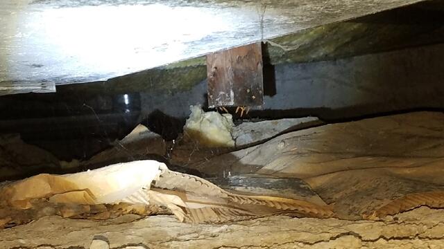 66a2b58fdff14_image-4