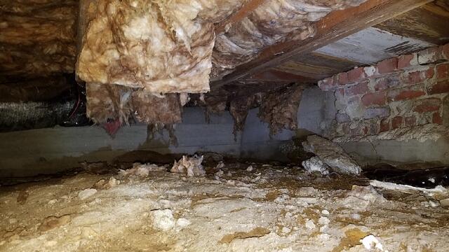 670822a35668b_nasty-crawlspace-3