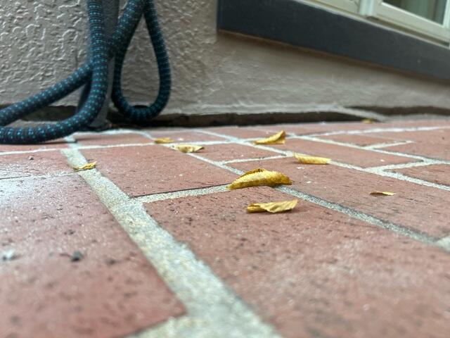 674f4361cea50_before-1