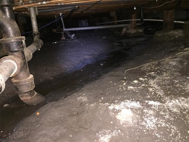 ballcswater-before